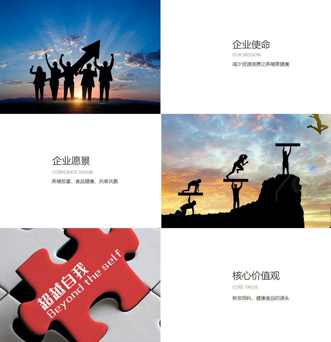 西瓜直播(图1)